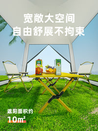 Automatic Pop-Up Mosquito Net Tent for Outdoor Camping and Sun Protection, Portable Folding Canopy
