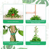 Bendable Coir Moss Pole for Climbing Plants