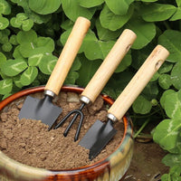 3-Piece Gardening Tool Set for Potted Plants and Succulents, Metal Trowel Rake Shovel Kit