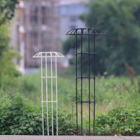 Garden Trellis for Climbing Plants, Clematis, Roses - Single Umbrella Ring Support