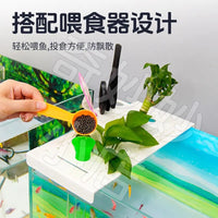 Extendable Aquarium Shelf with Plant Holder for Fish Tank Landscaping