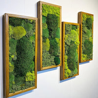 Preserved Moss Wall Art Decor Maintenance-Free 3D Green Plant Hanging Painting for Living Room Entrance
