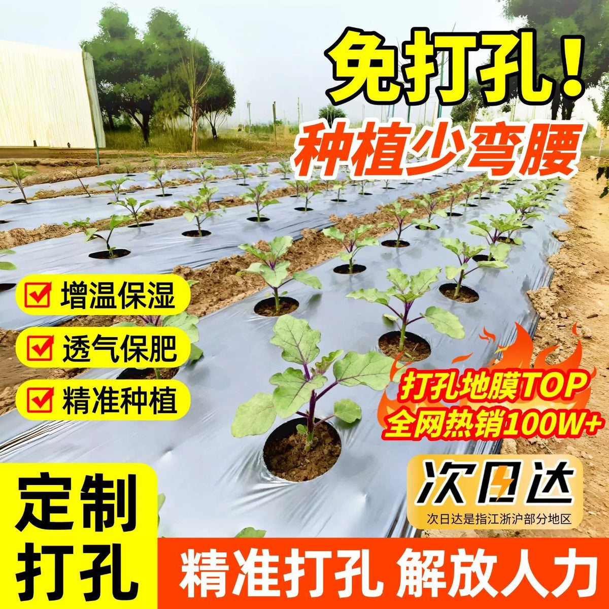 Perforated Silver-Black Agricultural Mulch Film for Planting, Weed Control, Thermal Insulation, and Moisture Retention