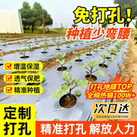Perforated Silver-Black Agricultural Mulch Film for Planting, Weed Control, Thermal Insulation, and Moisture Retention