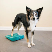 FitPAWS Ramp Inflatable Wedge for Dog Fitness Ball Muscle Weight Transfer Training