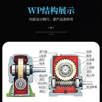 WPA Series Worm Gear Speed Reducer