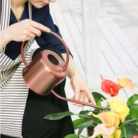 Large Capacity Stainless Steel Watering Can with Long Spout for Garden Plants