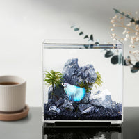 Acrylic Self-Circulating Desktop Betta Fish Tank with Multi-Grid Isolation and Filtration
