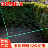 Plant Climbing Net for Vegetables, Cucumbers, Loofahs, and Beans - Durable Garden Trellis Netting with Edging Rope