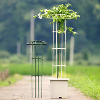 Garden Trellis for Climbing Plants, Clematis, Roses - Single Umbrella Ring Support