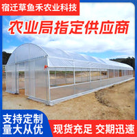 Single Arch Greenhouse Simple Tunnel Greenhouse Agricultural Breeding Shed Sunlight Greenhouse Flower Seedling Planting Warm Shed