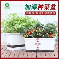 Deepened Self-Watering Planter Box for Balcony & Rooftop Gardening - Large Capacity Root Growing Container for Vegetables & Strawberries