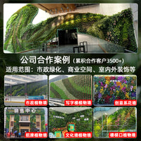 Artificial Milan Eucalyptus Grass Turf Mat for Indoor Outdoor Greenery Wall Decor
