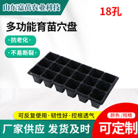 Thickened Seedling Tray with Drainage Holes for Indoor Gardening, Vegetables, Berries, and Succulents
