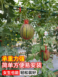 Heavy-Duty Garden Trellis for Climbing Plants, Vegetables, and Fruits - Includes Netting