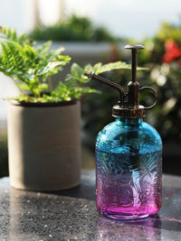 Vintage Thick Glass Plant Mister Spray Bottle for Indoor Plants and Succulents