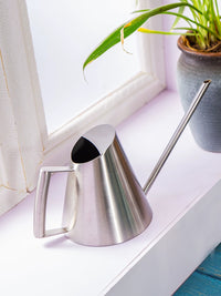 Stainless Steel Long Spout Watering Can for Indoor Plants & Succulents, Nordic Style Metal Small Sprinkler