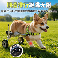 Pet Wheelchair for Disabled Dogs, Rehabilitation Walker for Hind Leg Support