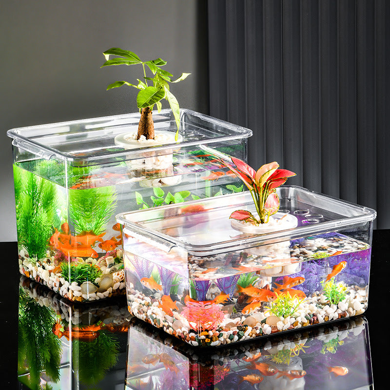 Large Transparent PET Fish Tank for Desktop & Home, Small Turtle & Goldfish Aquarium with Landscaping Options