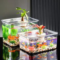 Large Transparent PET Fish Tank for Desktop & Home, Small Turtle & Goldfish Aquarium with Landscaping Options