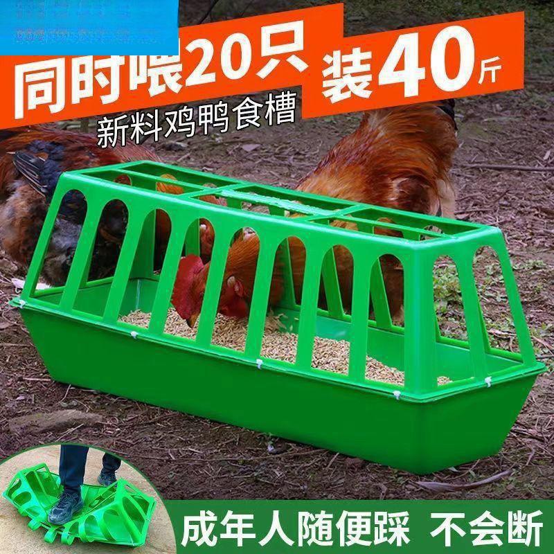 Chicken Feeder Trough and Waterer for Poultry