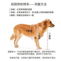 Pet Front Leg Wheelchair for Small Dogs, Lightweight Mobility Aid for Disabled Front Legs