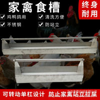 Stainless Steel Poultry Feeder Trough for Pigeons, Chickens, Ducks, Geese - Durable & Anti-Waste Design