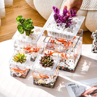 Miniature Creative Hydroponic Planter for Succulents and Micro-Landscape Office Decor
