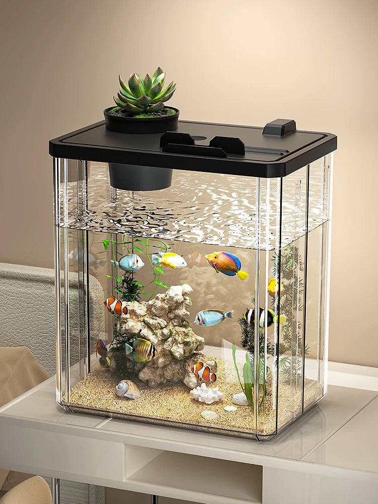 Desktop Acrylic Fish Tank with LED Light and Oxygenation System for Home and Office