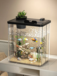 Desktop Acrylic Fish Tank with LED Light and Oxygenation System for Home and Office