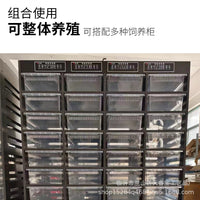 Reptile Breeding Box Insect Pet Terrarium for Lizards Spiders Frogs Snails