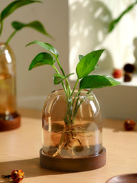 Vintage Glass Small Flower Vase Hydroponic Plant Container for Home Office Desktop Decor