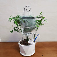 Automatic Plant Watering Drip Irrigation System for Potted Plants, Self-Watering Device
