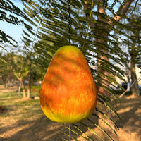 Pear Shaped Hanging Bird Feeder for Outdoor Garden Decor