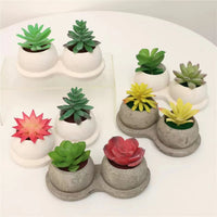 Artificial Succulent Plants in Pulp Pots - Biodegradable Retro Home Decor