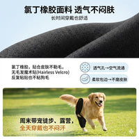 Pet Dog Knee Brace for ACL Tear Injury Recovery Joint Support