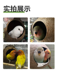 Coconut Shell Bird Nest for Parrots, Sun Conures, Cockatiels - All Seasons Bird House Sleeping Nest Cage Accessory