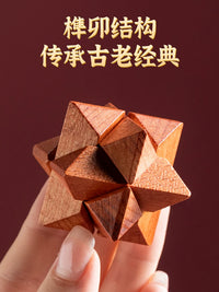 Luban Lock Kongming Lock Brain Teaser Puzzle Set for Kids and Students