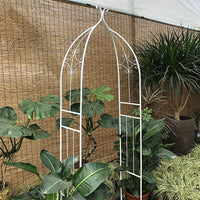 Metal Garden Arch Trellis for Climbing Plants, Roses, and Vines - Outdoor Support Frame