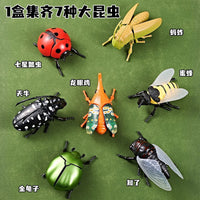 Wind-Up Insect Toy Set for Kids - Crawling Beetle, Bee, and Bug Models