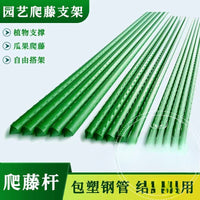 PE Coated Steel Plant Support Stakes for Climbing Vines, Garden Trellis for Vegetables and Flowers