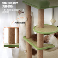 Multi-Level Cat Tree Condo with Scratching Posts and Perches, Wood Cat Activity Tower for Indoor Cats