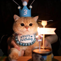 Cat Birthday Hat and Bib Set for Pets, Decorative Scarf and Hat for Photo Props