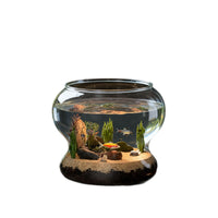 Miniature Desktop Fish Tank Plastic Aquarium for Home and Office