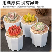 Thickened Octagonal Plastic Succulent Planter Pot for Home Gardening and Seedling Propagation