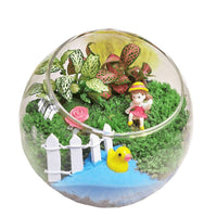 DIY Moss Terrarium Kit with Sphagnum Moss and Nutrient Soil for Succulents and Plants