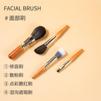 9-Piece Mini Portable Makeup Brush Set for Travel and Beginners - Powder, Stippling, Blush Brushes