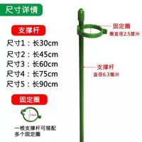 Garden Plant Support Stakes for Flowers, Tomato Vines and Climbing Plants