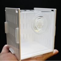 Acrylic Fish Tank Breeding Isolation Box with Lid for Shrimp and Small Fish