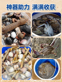 Kids' Beachcombing and Sand Digging Tool Set for Clams, Oysters, and Crabs